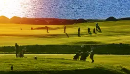 10200-157-393 - afrit.png