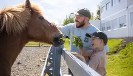 Laugardalur Family Park and Zoo in Reykjavík