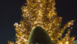 Christmast tree in Reykjavík