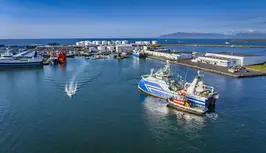 Grandi - Raggi TH.png