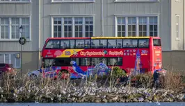 Hop on hop off - Raggi TH.png