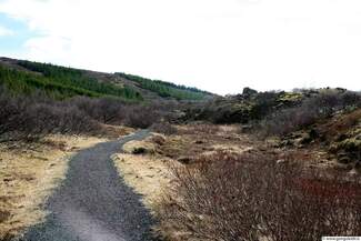 heidmork-dasamlegt-umhverfi-og-godir-stigar.jpg