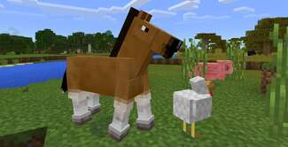 minecraft-animal.b63677d5.fill-1920x980-c100.format-jpeg.jpg
