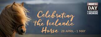 Day of the Icelandic Horse