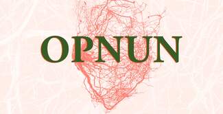 OPNUN_2550x1700.07e1f358.fill-1920x980-c100.format-jpeg.jpg