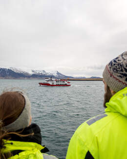 Watching Whale-Watching Boat
