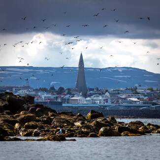 reykjavik_hallgrimskirkja.jpg
